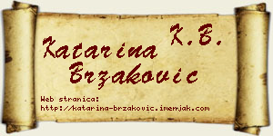 Katarina Brzaković vizit kartica